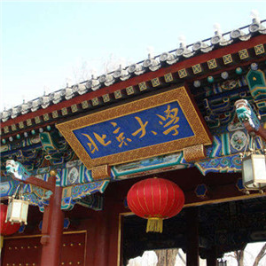 2007年北京大学松下蓄电池更换项目